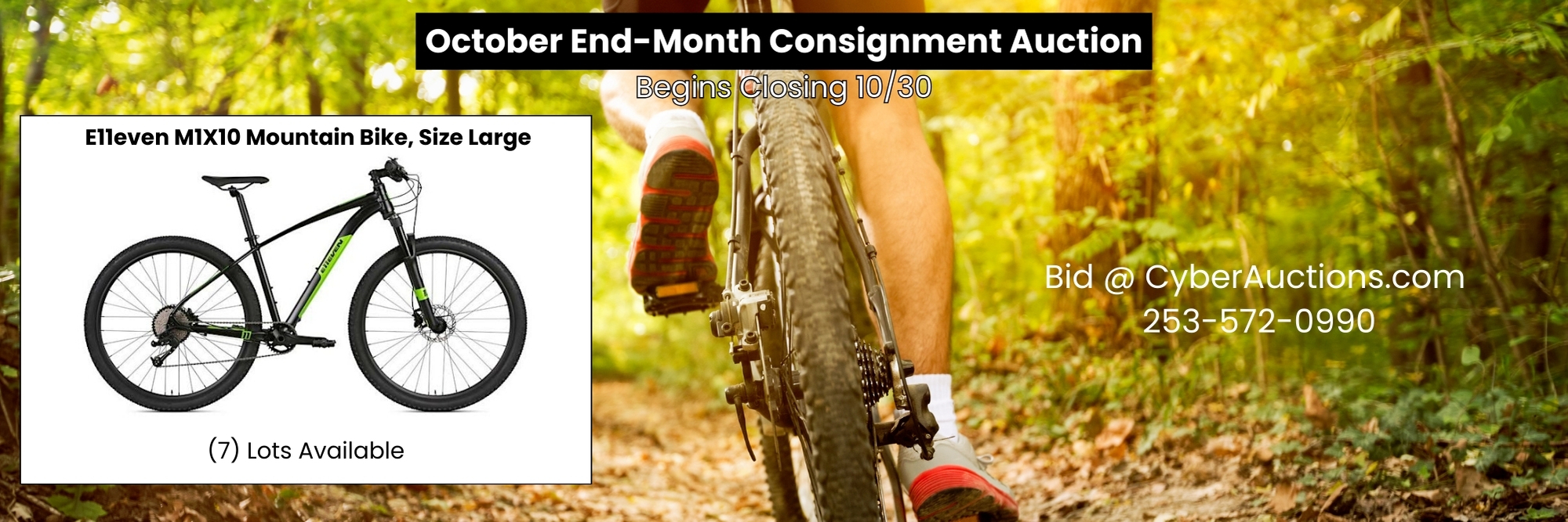 October End Month Consignment Auction (5)